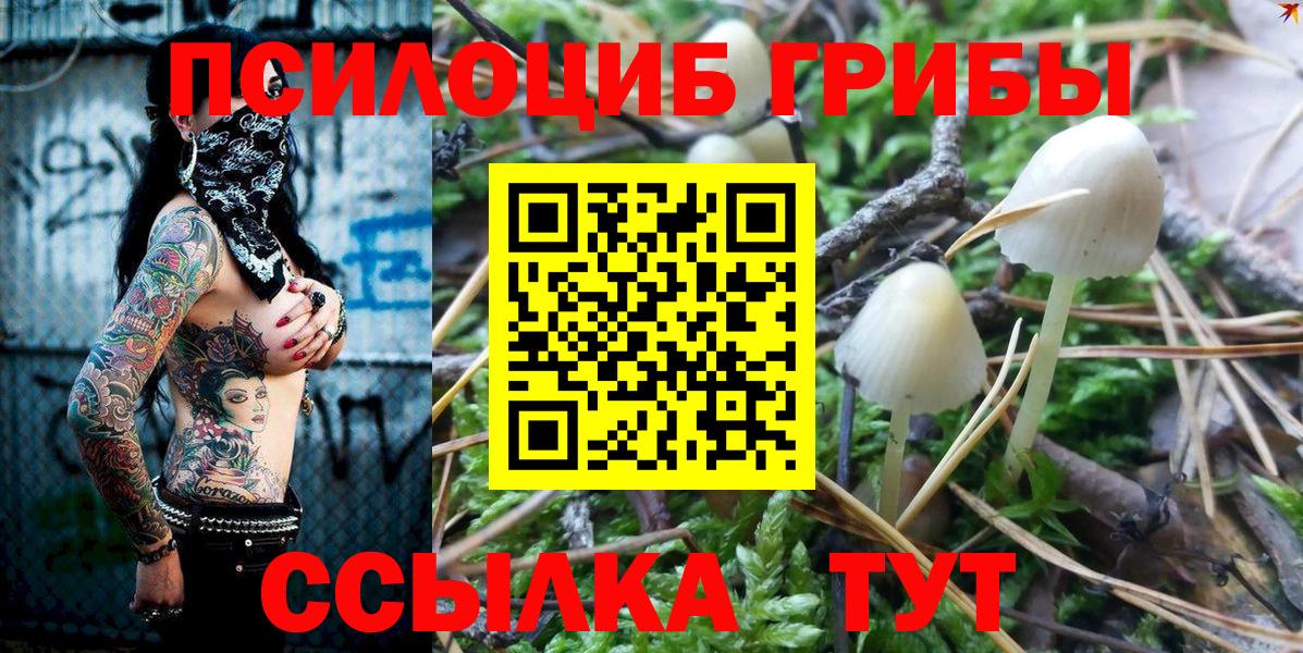 Галлюциногенные грибы Psilocybine cubensis  Вход с VPN  Пугачёв 